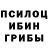 Галлюциногенные грибы Psilocybine cubensis Yuri Samosudov