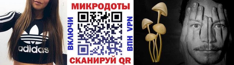 где купить наркоту  Биробиджан  Галлюциногенные грибы мицелий 